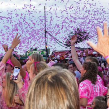 Foto's Pink in de Polder online